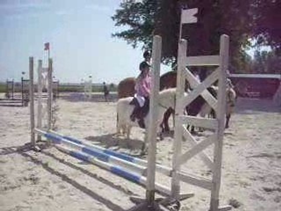 DSCN0356