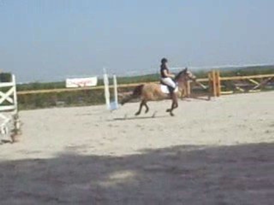 DSCN0326