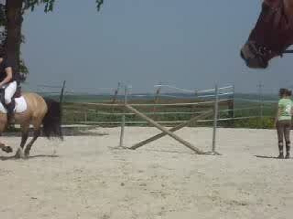 DSCN0357