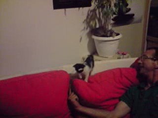 kiss ma petite nouvelle