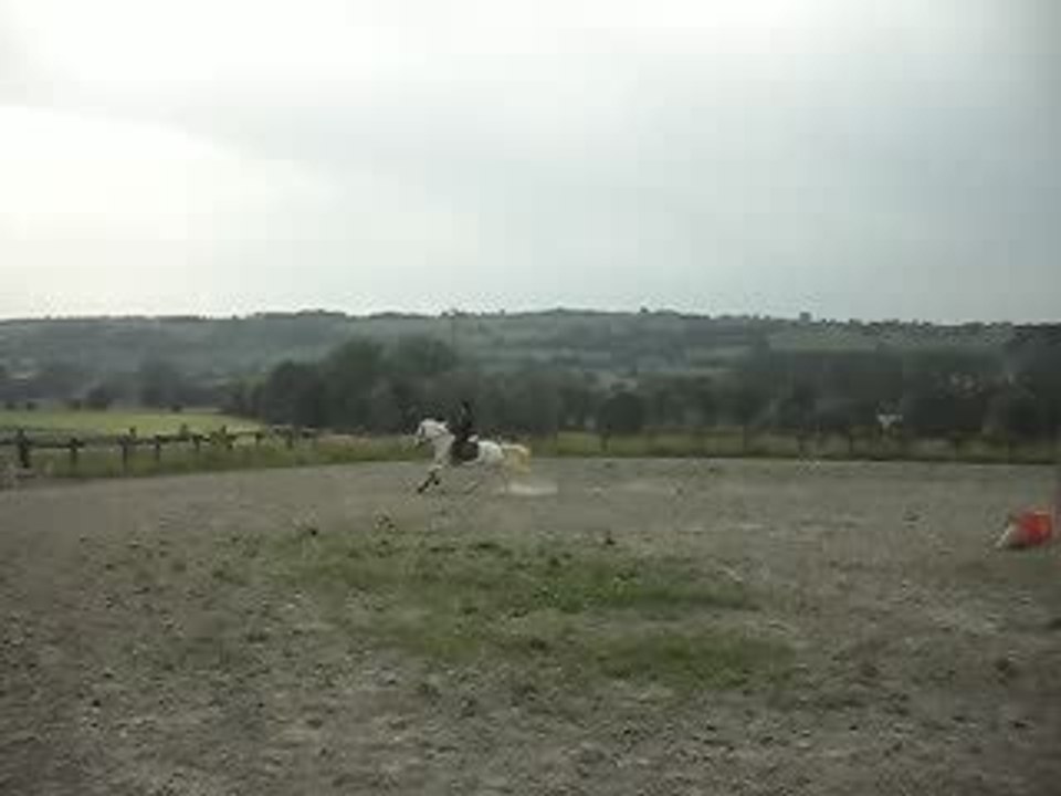 saut vertical 80cm avec April