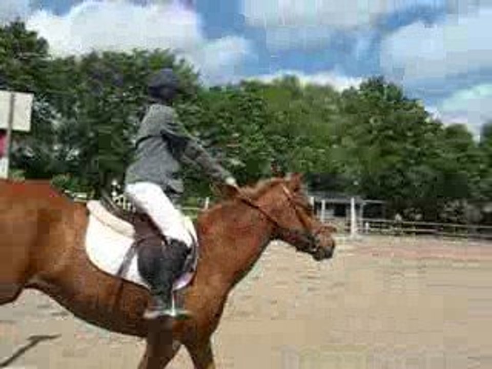 Nantes : concours CSO