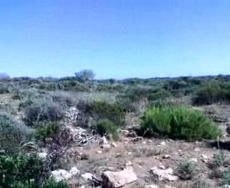 Sidi  Aissa