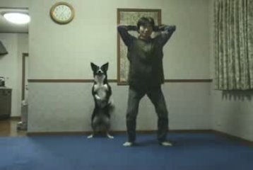 chien qui travaille ses cuisses et fessiers