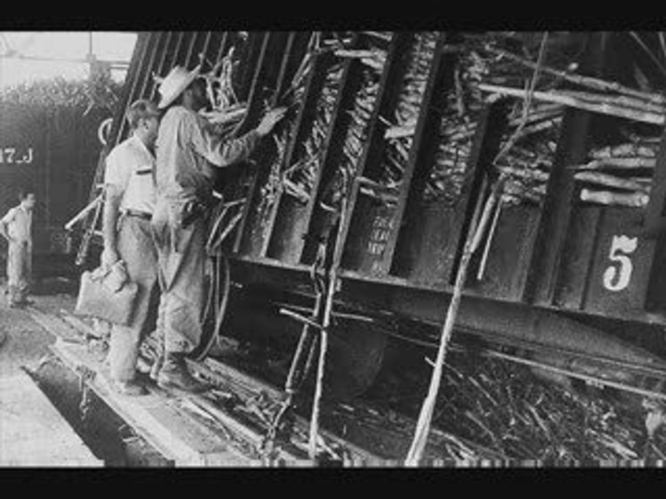 homage a che guevara et au combatant de demain