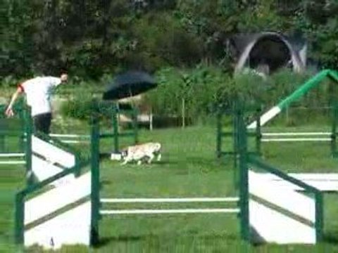 Bounty jump cabochards