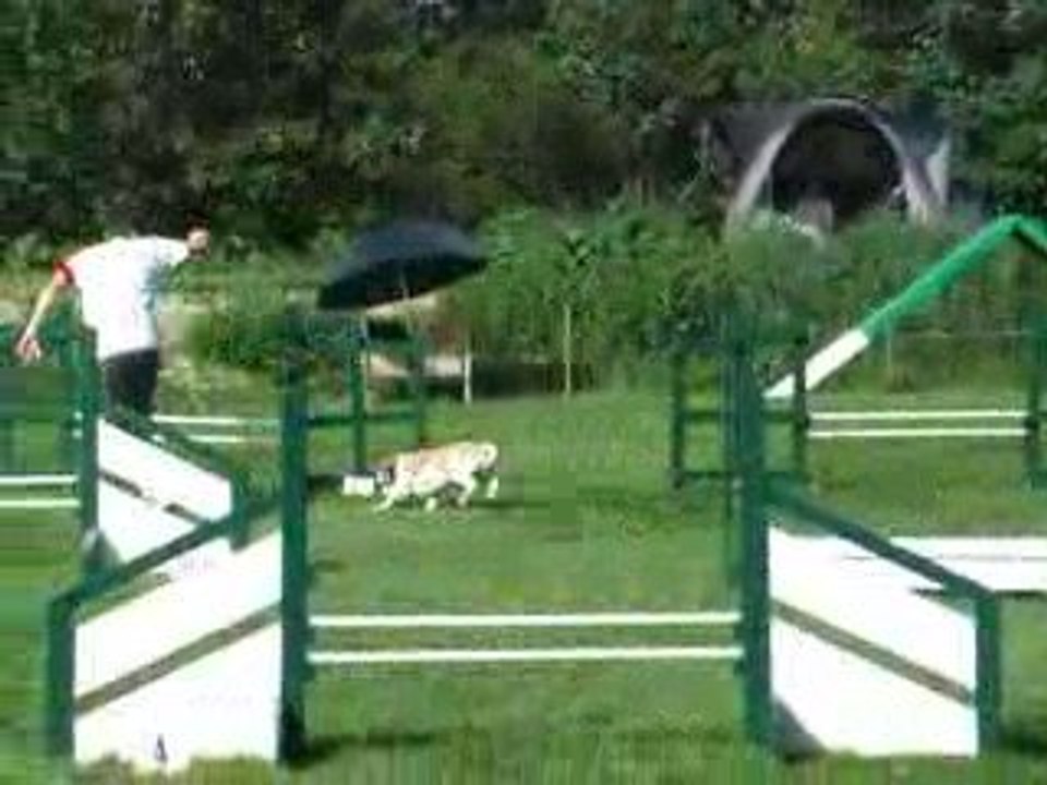 Bounty jump cabochards