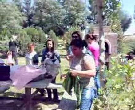 BİRECİK FORUMU 2. URFA BULUŞMASI-4