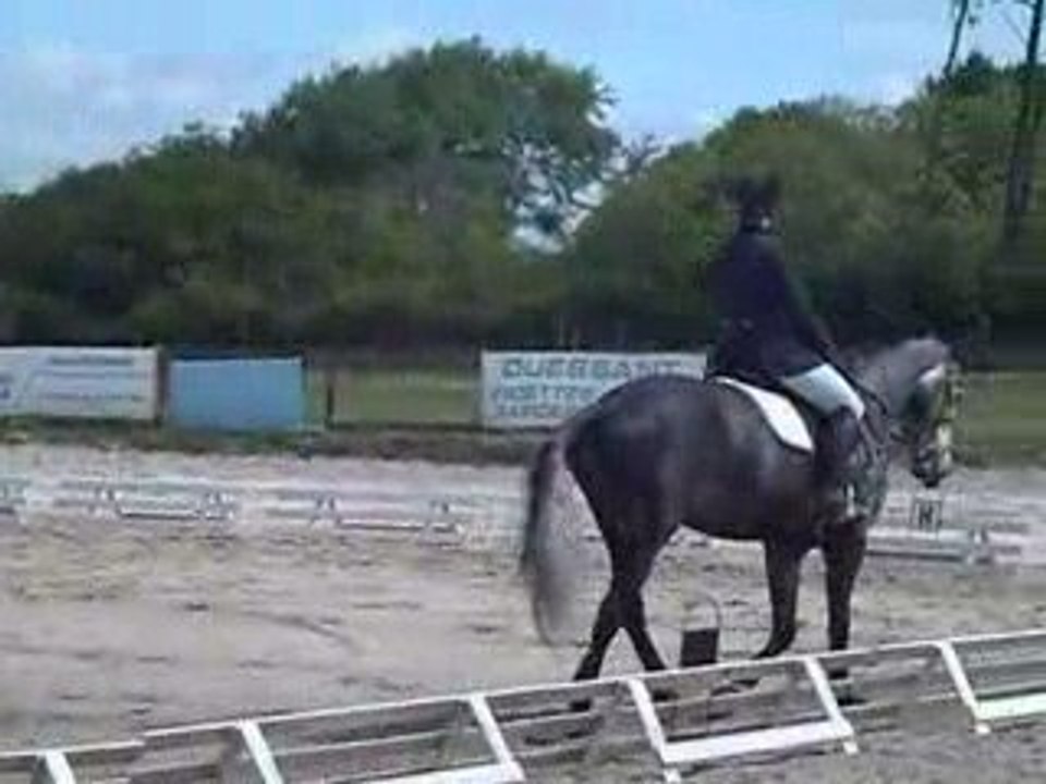 Moi et Quintana dressage CL élite préliminaire