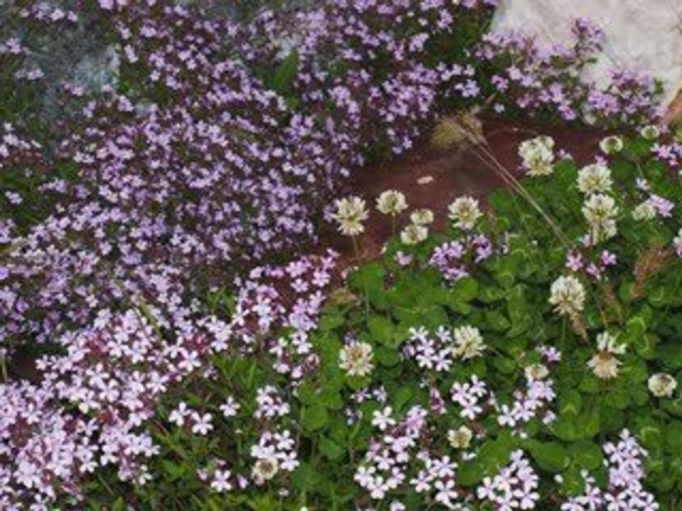Printemps2009