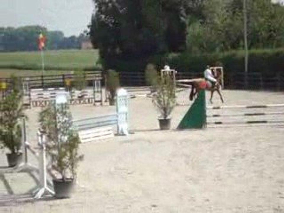 Concours Pottes 95 cm crystal