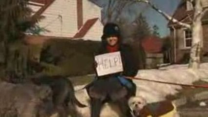 Borrow a dog and walk! (Becel's One Small Thing #2)