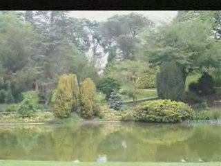 Jardin des plantes d'angers