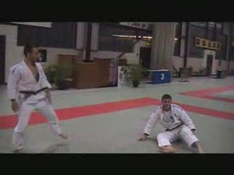 Réflexion sur et autour de Yoko tomoe nage