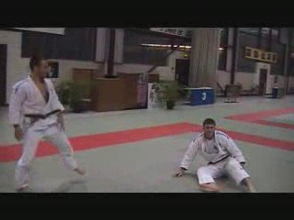Réflexion sur et autour de Yoko tomoe nage