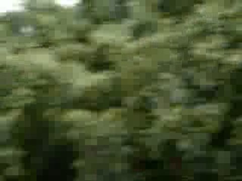 CC Vernegues 2009 N°67