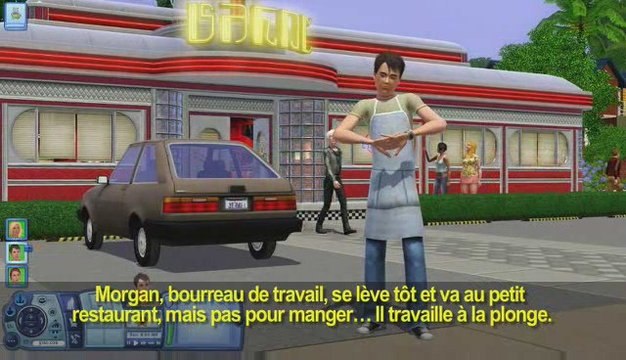 Les Sims 3 - les souhaits à long terme
