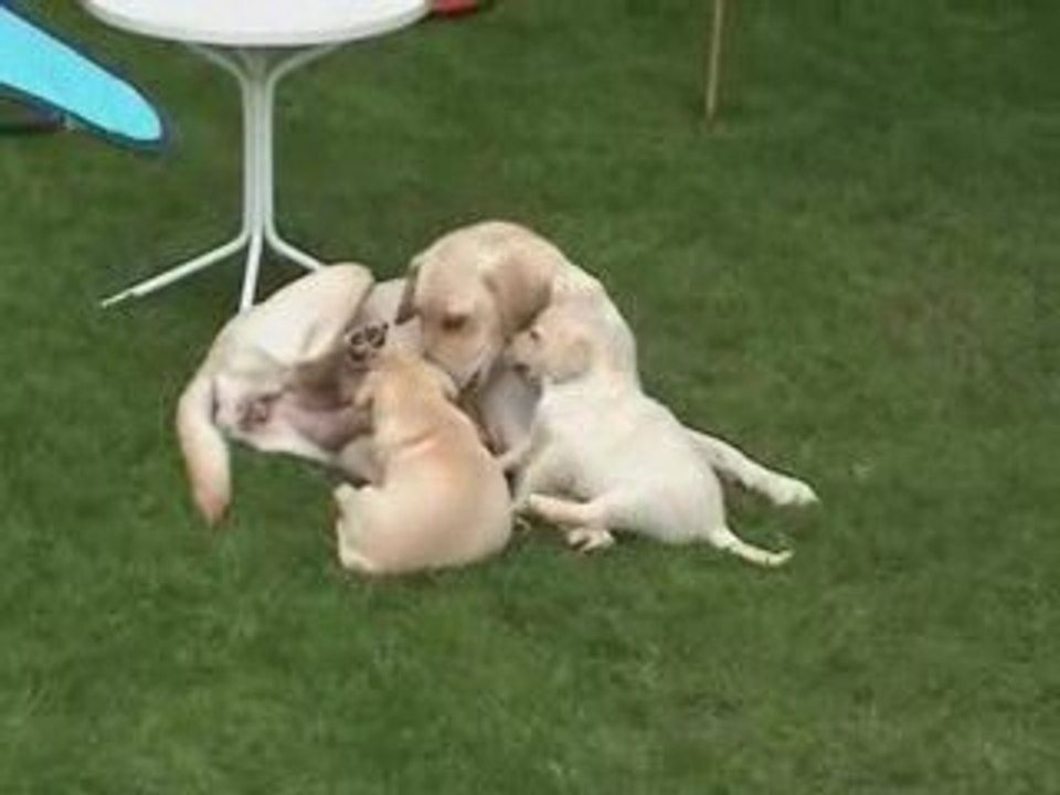 Kaly - Portée A - 23.05.2009_2