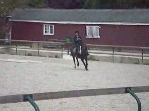 Saut d'obstacle galop 4 Gordon