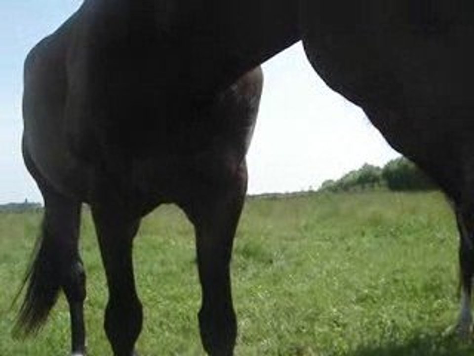 MOV03374