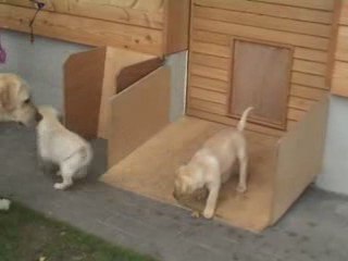 Kaly - Portée A - 23.05.2009_3