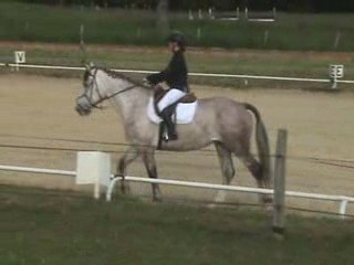Justine dressage
