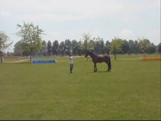 mon cheval mon ange
