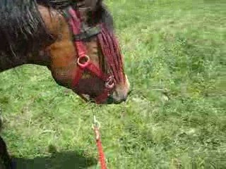 Ma Ninite après la douche