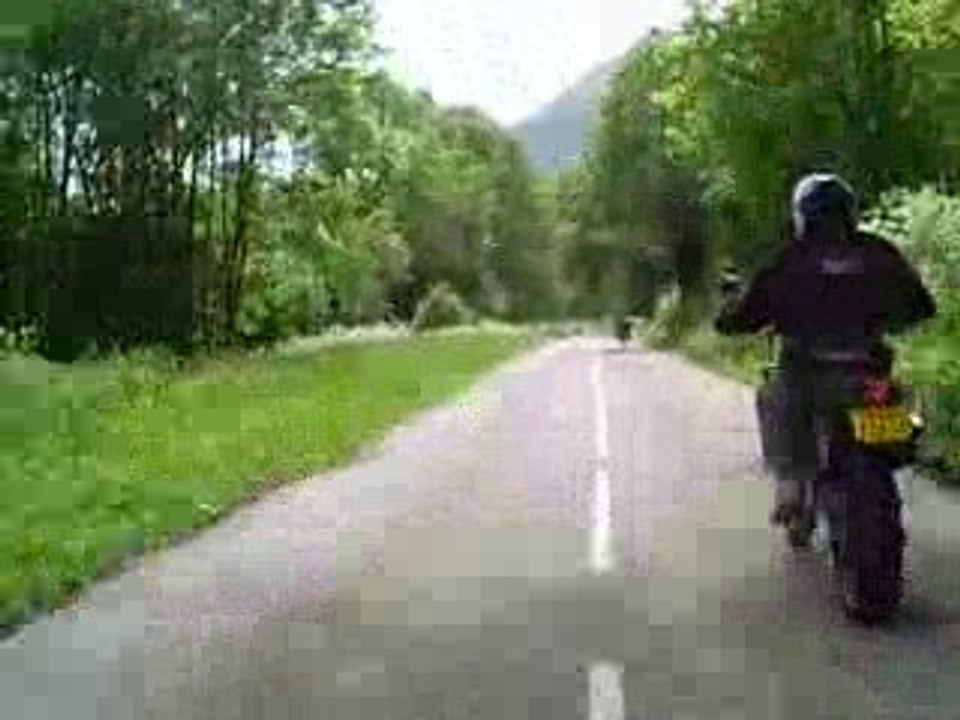 Col2