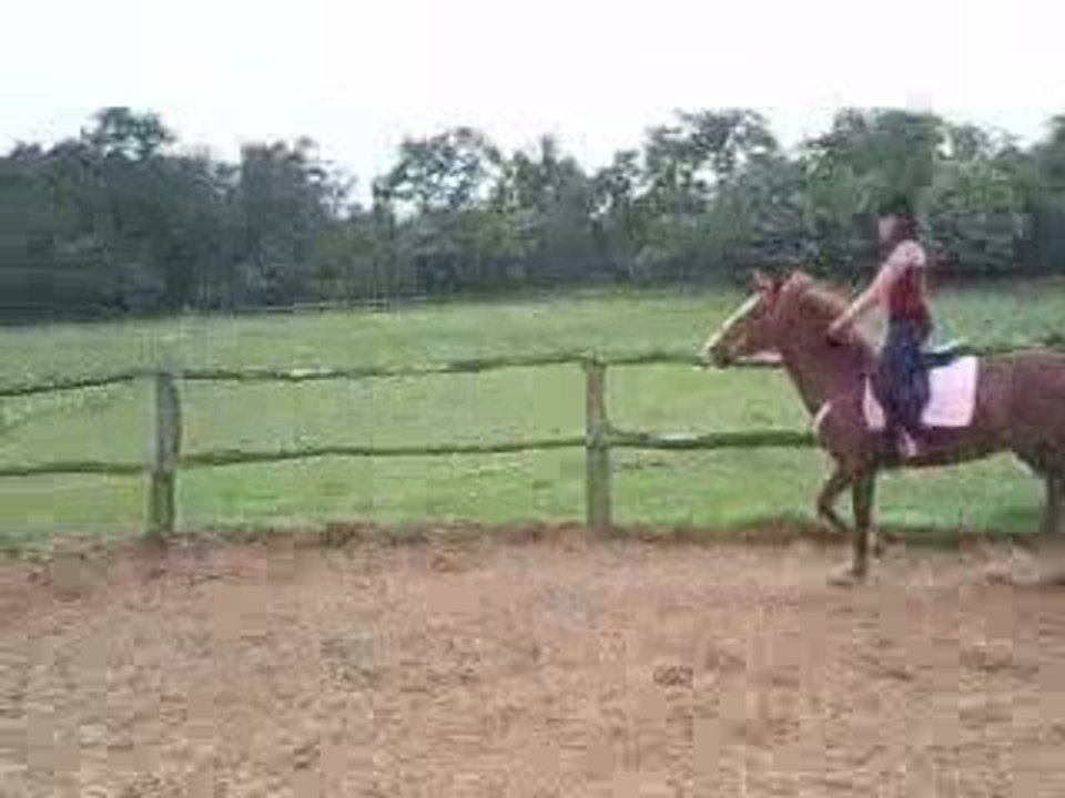 salsa au saut