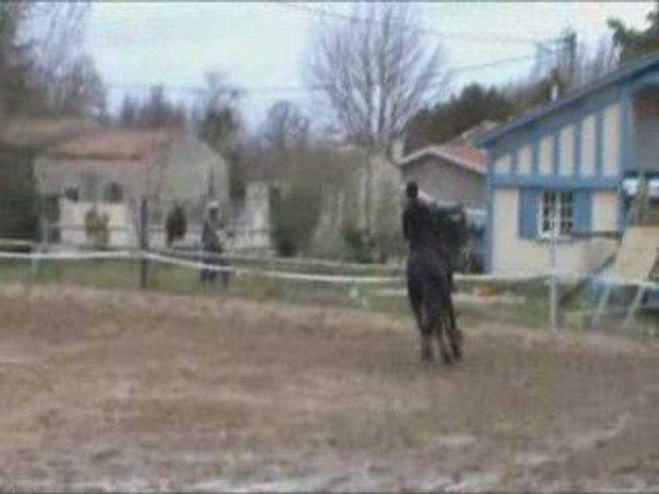 Concours Hunter Maniabilité