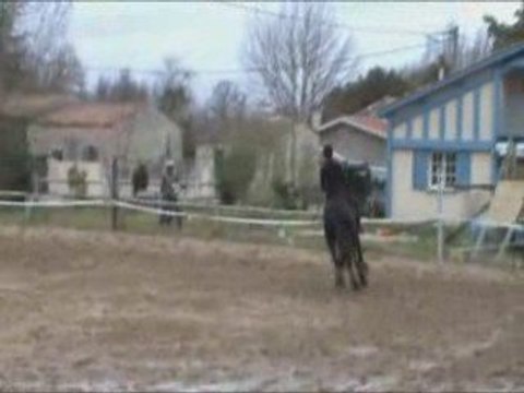 Concours Hunter Maniabilité