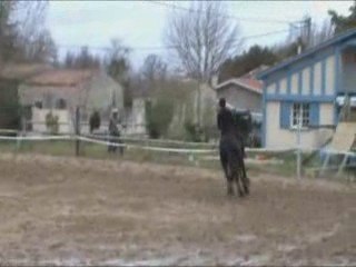 Concours Hunter Maniabilité