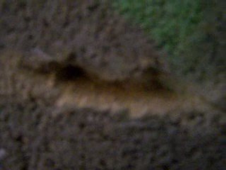 mortier vide sanitaire