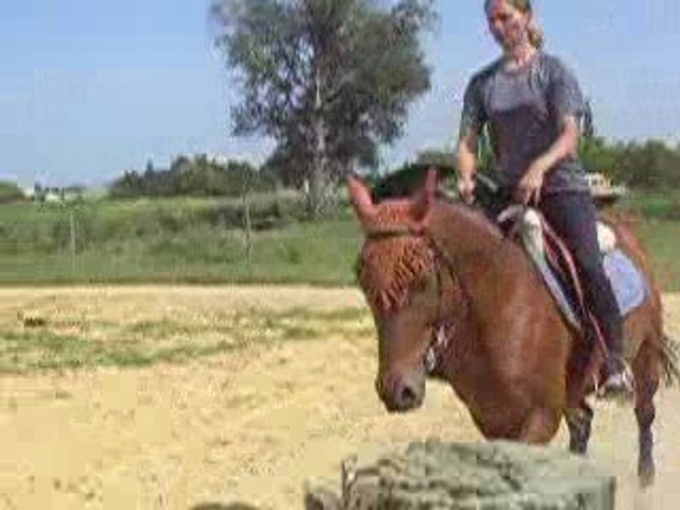 Le trotting de Madame la Marquise