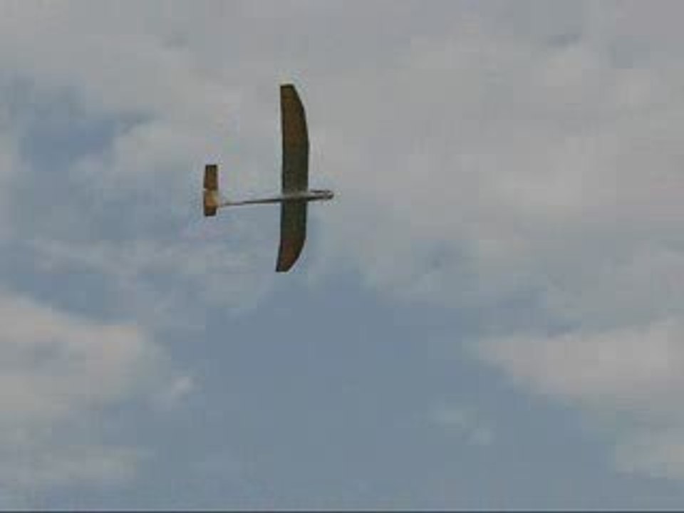 Albatross
