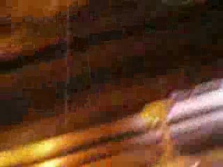 STANDARD CHAMPION 2008 - 2009