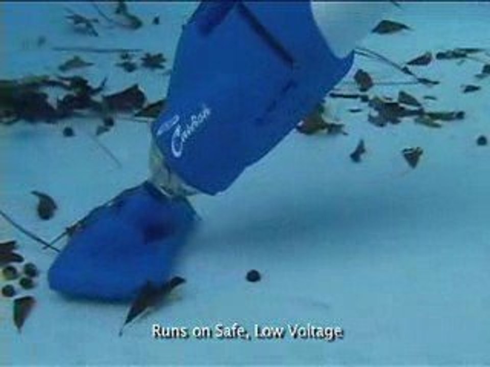 Aspirateur piscine et spa CATFISH WaterTech VigiPiscine