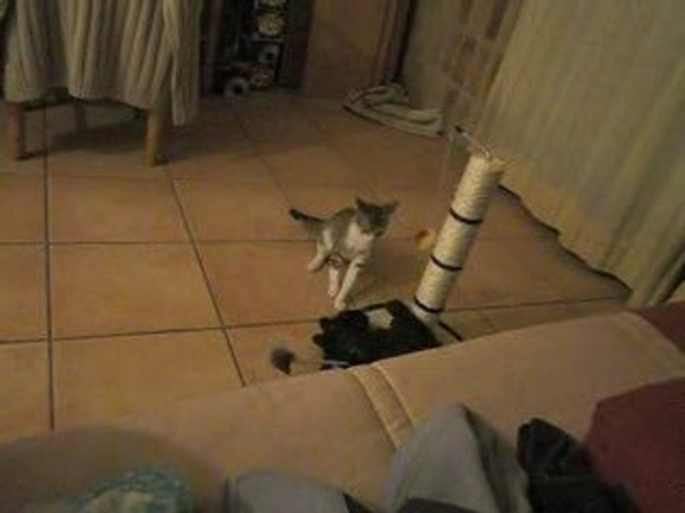 JUGANDO_1