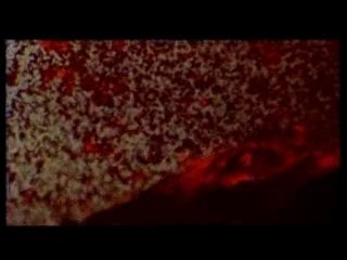 DJ Dumato - world drums in your hands
