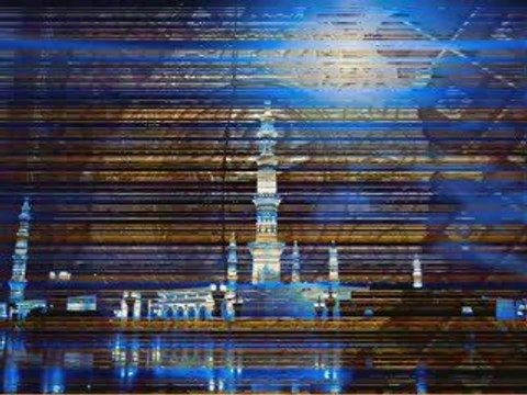 grande mosquée de berlin apbif aicp madih