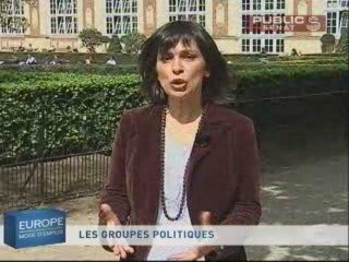 EUROPE MODE D'EMPLOI,Les groupes politiques