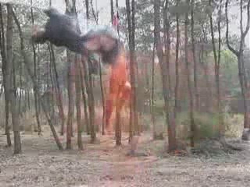 BLD25.avi.avi-0000.avi