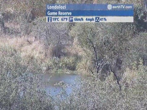 Amsterdam - Netherlands, Brussels - Belgium, Berlin - Germany, Saint-Malo - France, Londolozi - South Africa, Melbourne - Australia, Munich - Germany