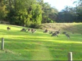 Photo 037