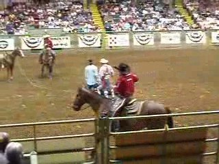Fort Worth - Rodéo #8