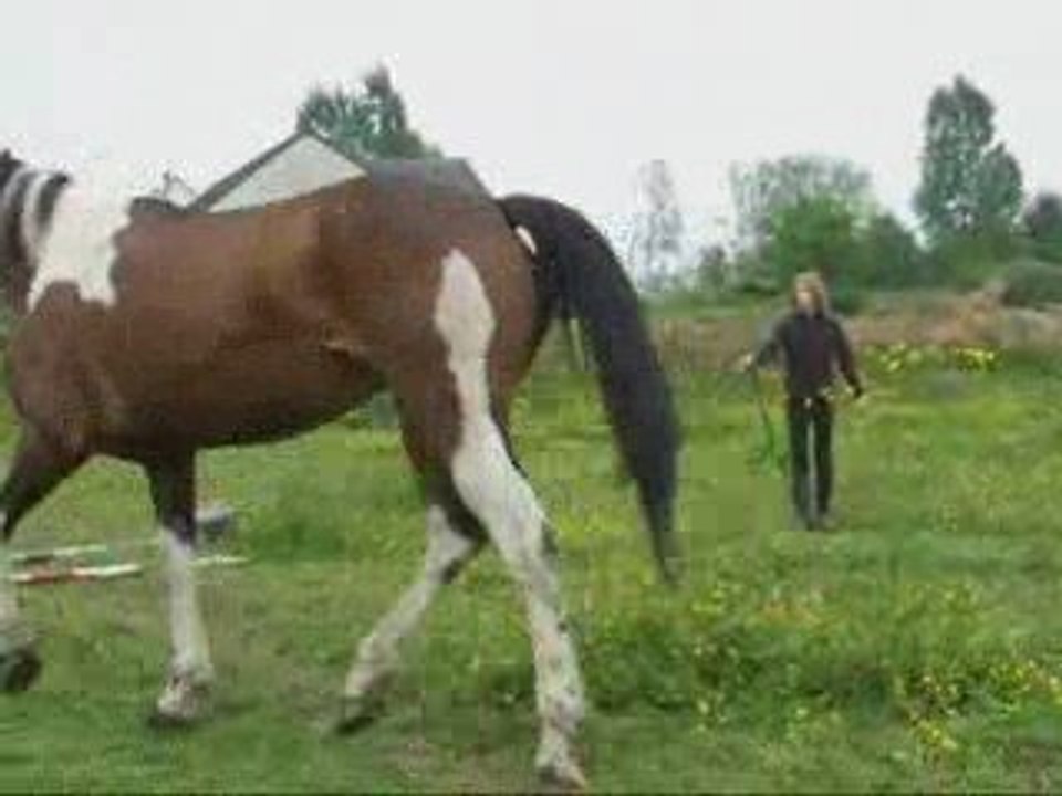 Mai14 2009 seance muscu indiana