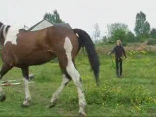 Mai14 2009 seance muscu indiana