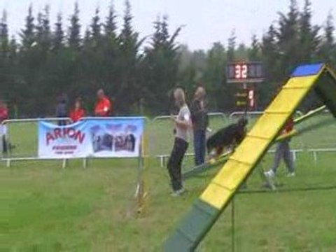 Camélia-Open Sorinières