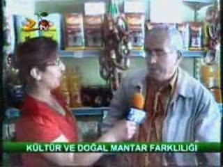 Mantar üzerine söyleşi (zileweb.com)